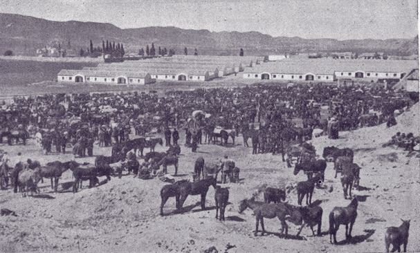 Feria del Ganado (al fondo viviendas de la Obra Sindical del Hogar) y el antiguo cementerio 1955. Fotografía Gómez